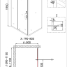 Душевое ограждение Niagara NG-43-11AG-A80G (110*80*195) прямоугольник, дверь распашнаяа