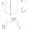 Душевое ограждение Niagara NG-83-10AB-A100B (100*100*195) квадрат, дверь распашнаяа